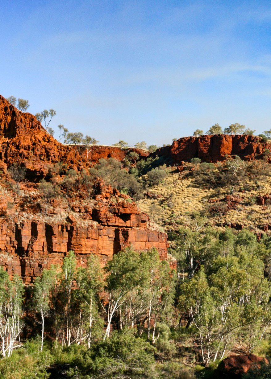 Western Australia landscape